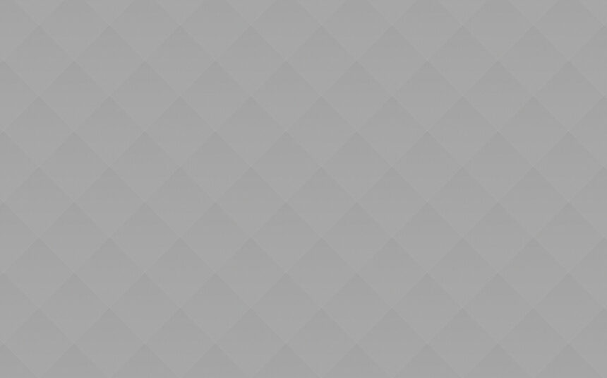 grey_06 School Buses